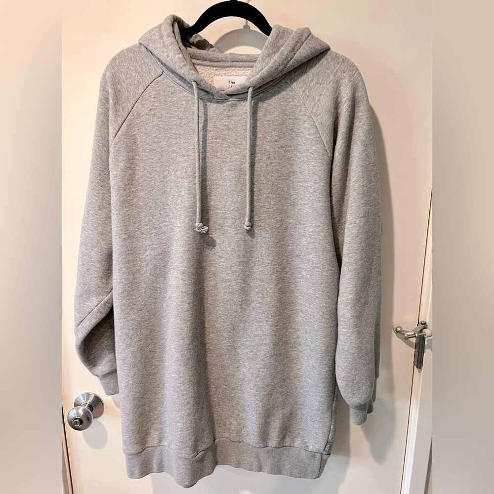 Aritzia TNA Oversized Hoodie